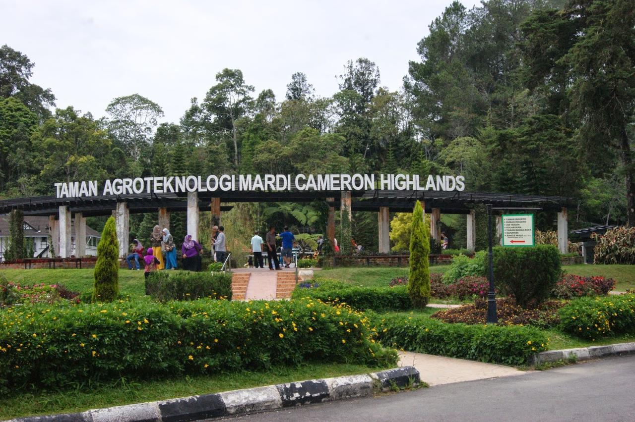 Muslim Boutique Apartment Cameron Highlands Exteriér fotografie